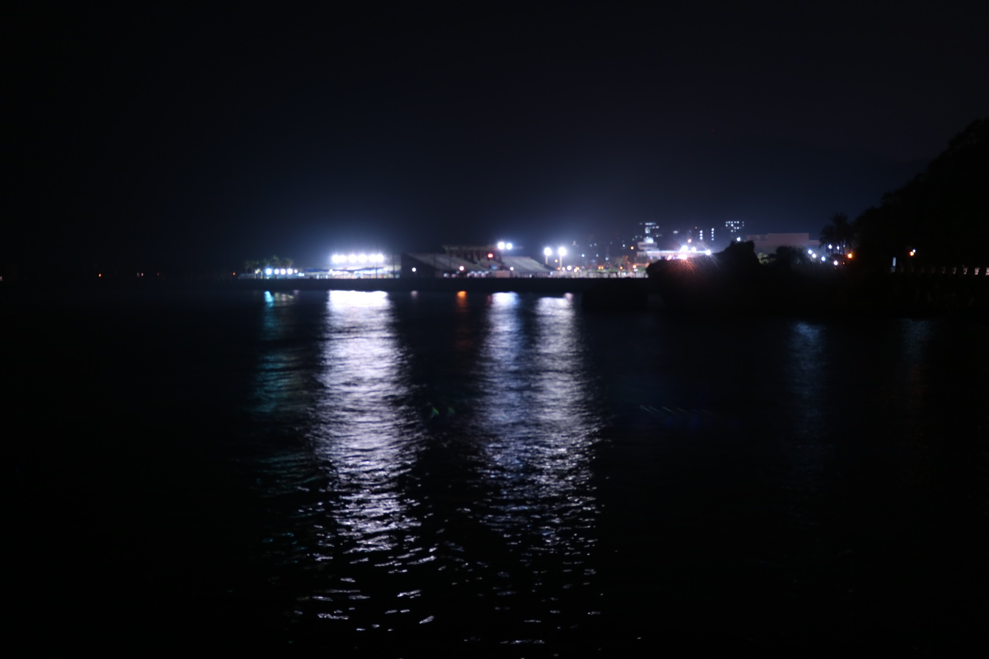 IMG_5229