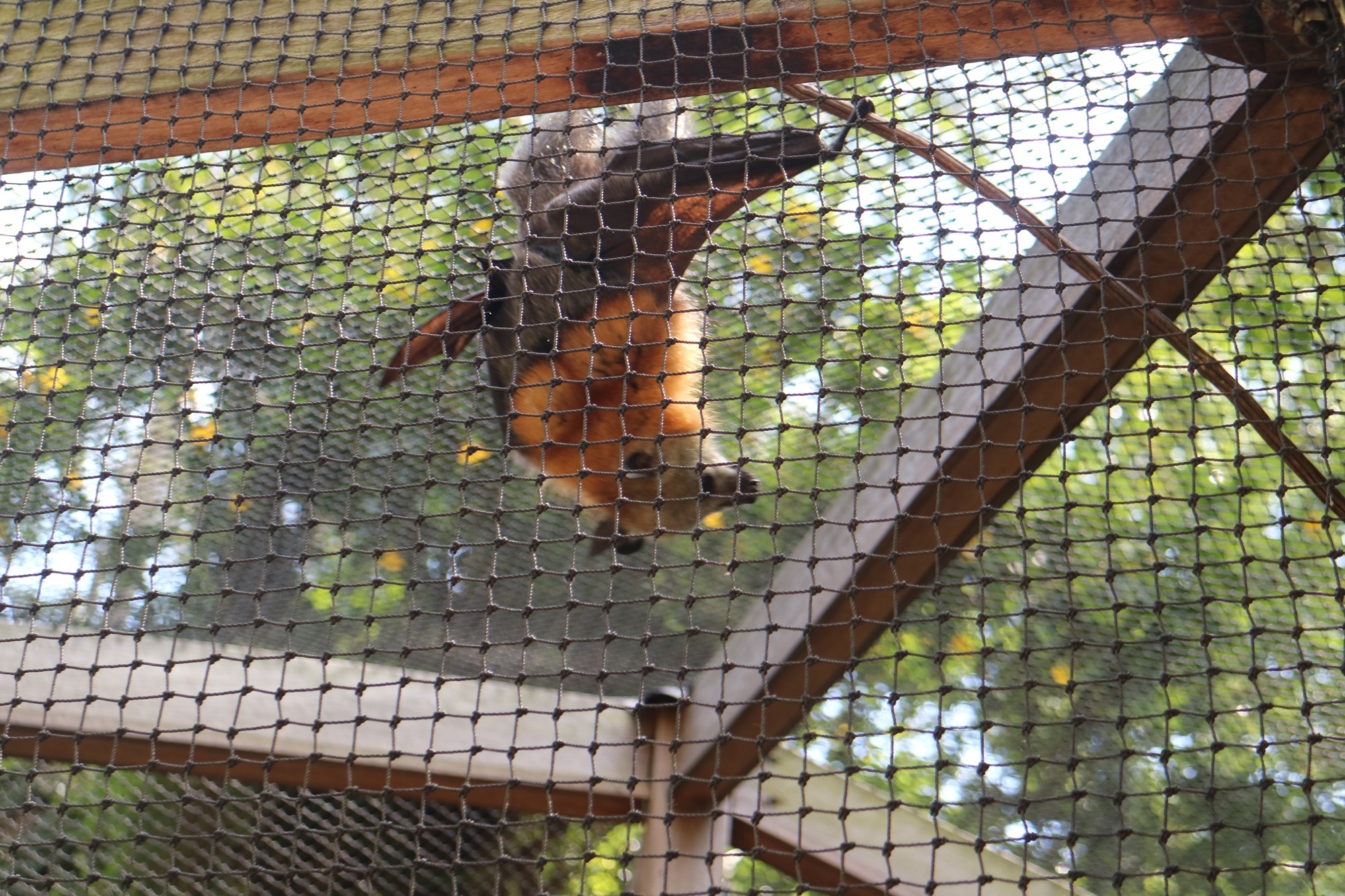 IMG_7444