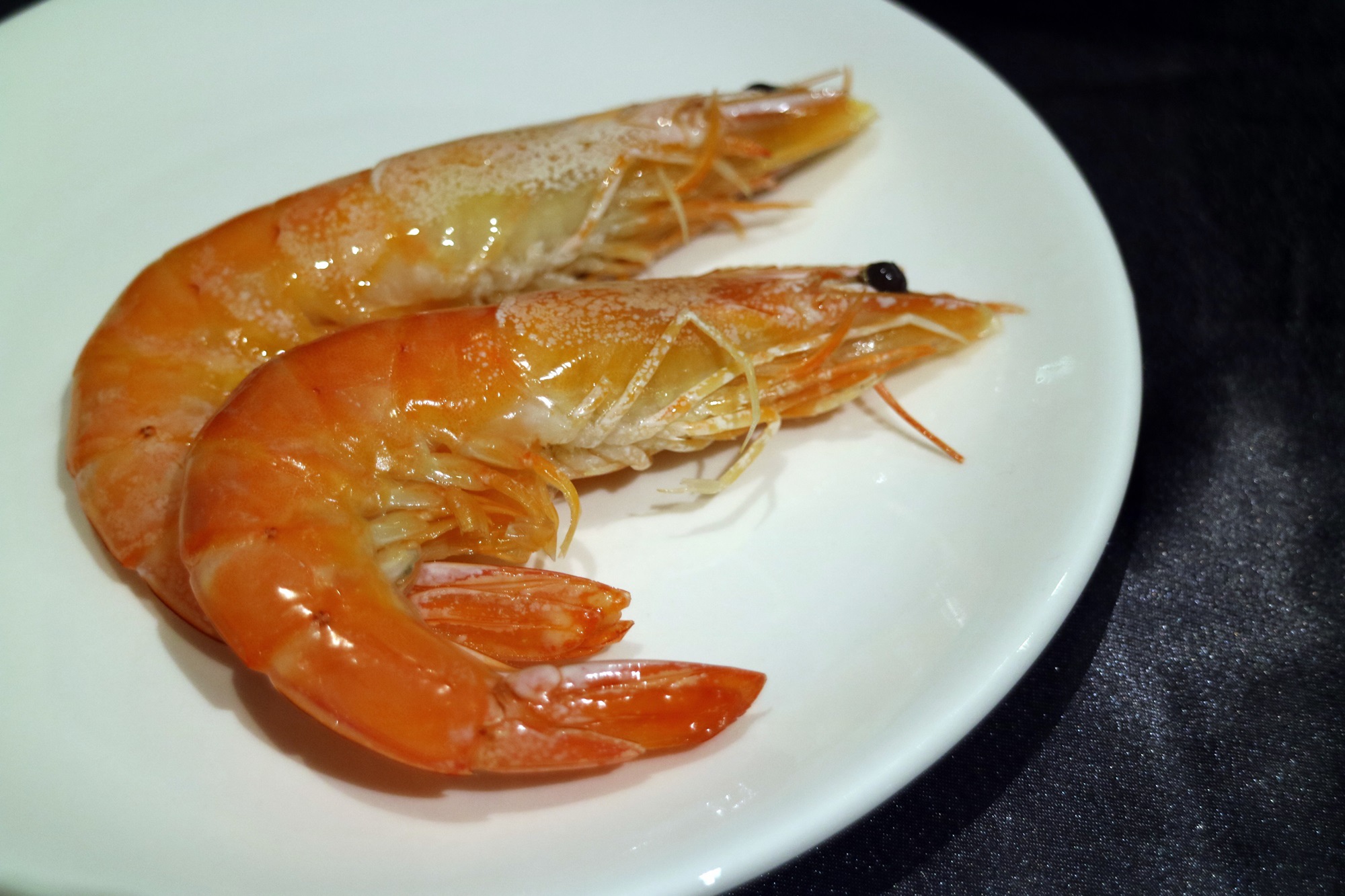 IMG_5669 IMG_5669