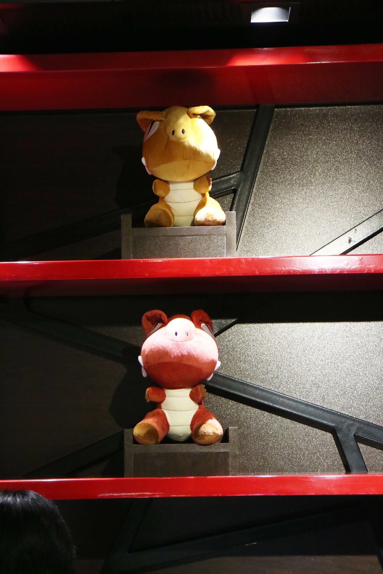 IMG_7118 IMG_7118