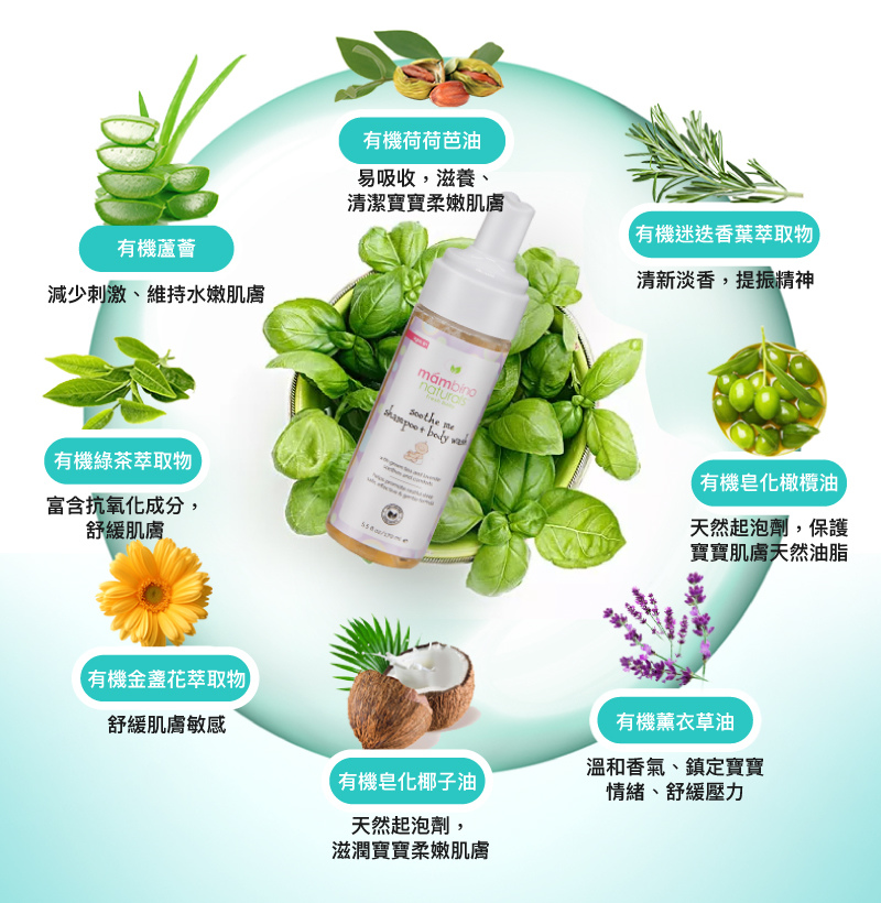 20190212_mambino_官網改版SEO_歡樂時光洗沐二合一綠茶薰衣草-6_800x820