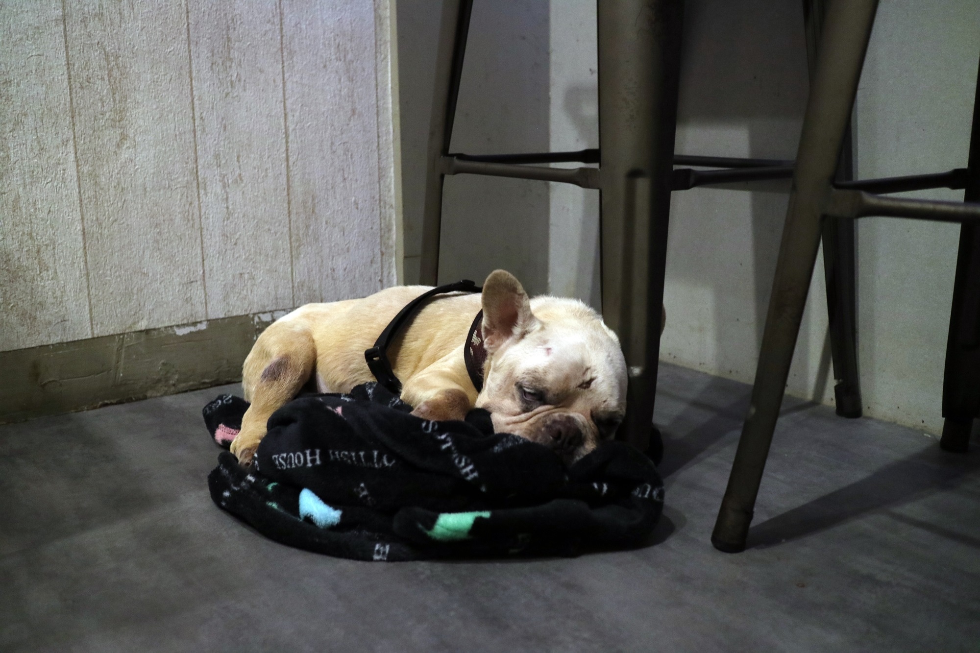 image14773.JPG