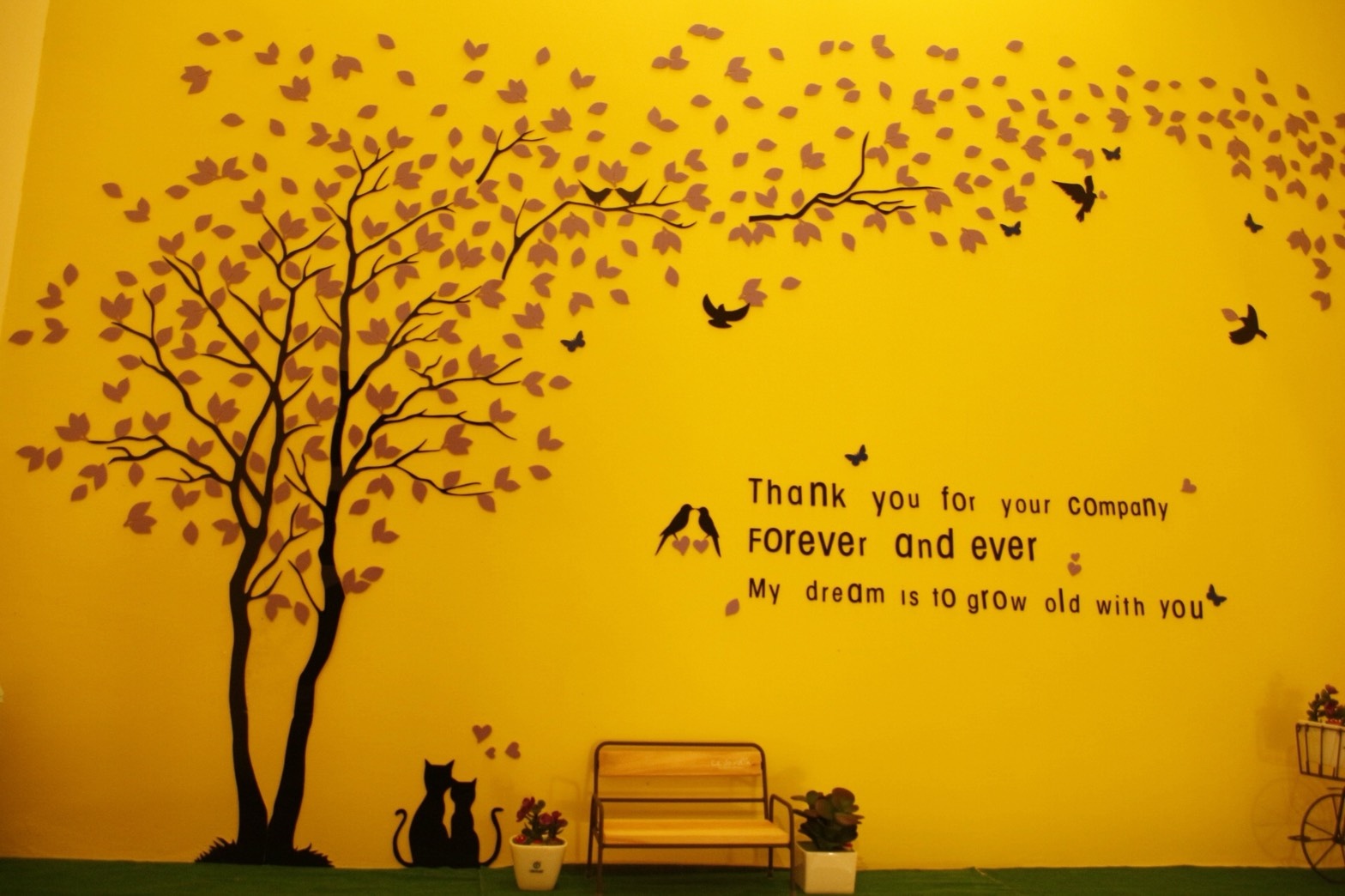 S__201343025.jpg