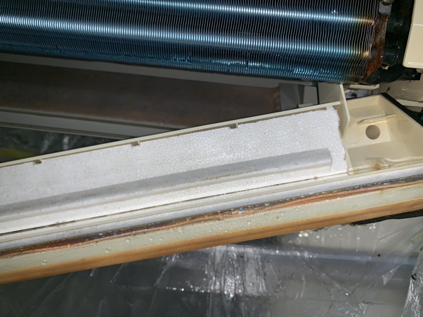 S__86507583.jpg