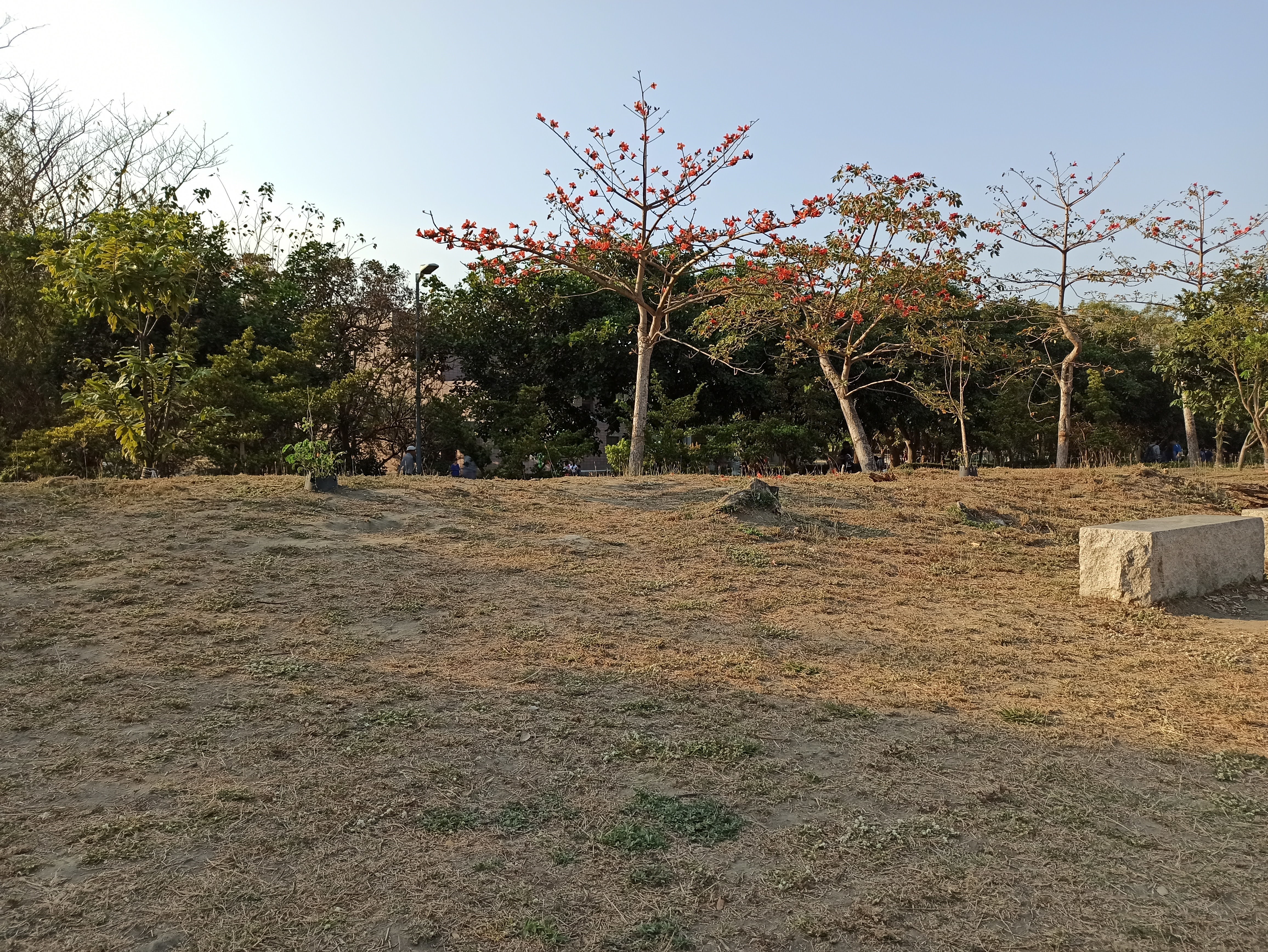 IMG_20200308_163154.jpg