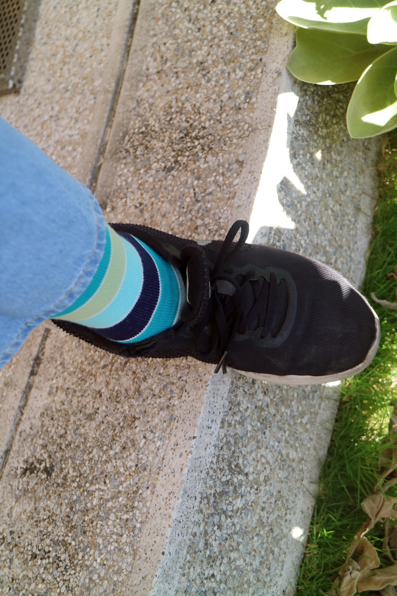 IMG_0809.JPG IMG_0809.JPG