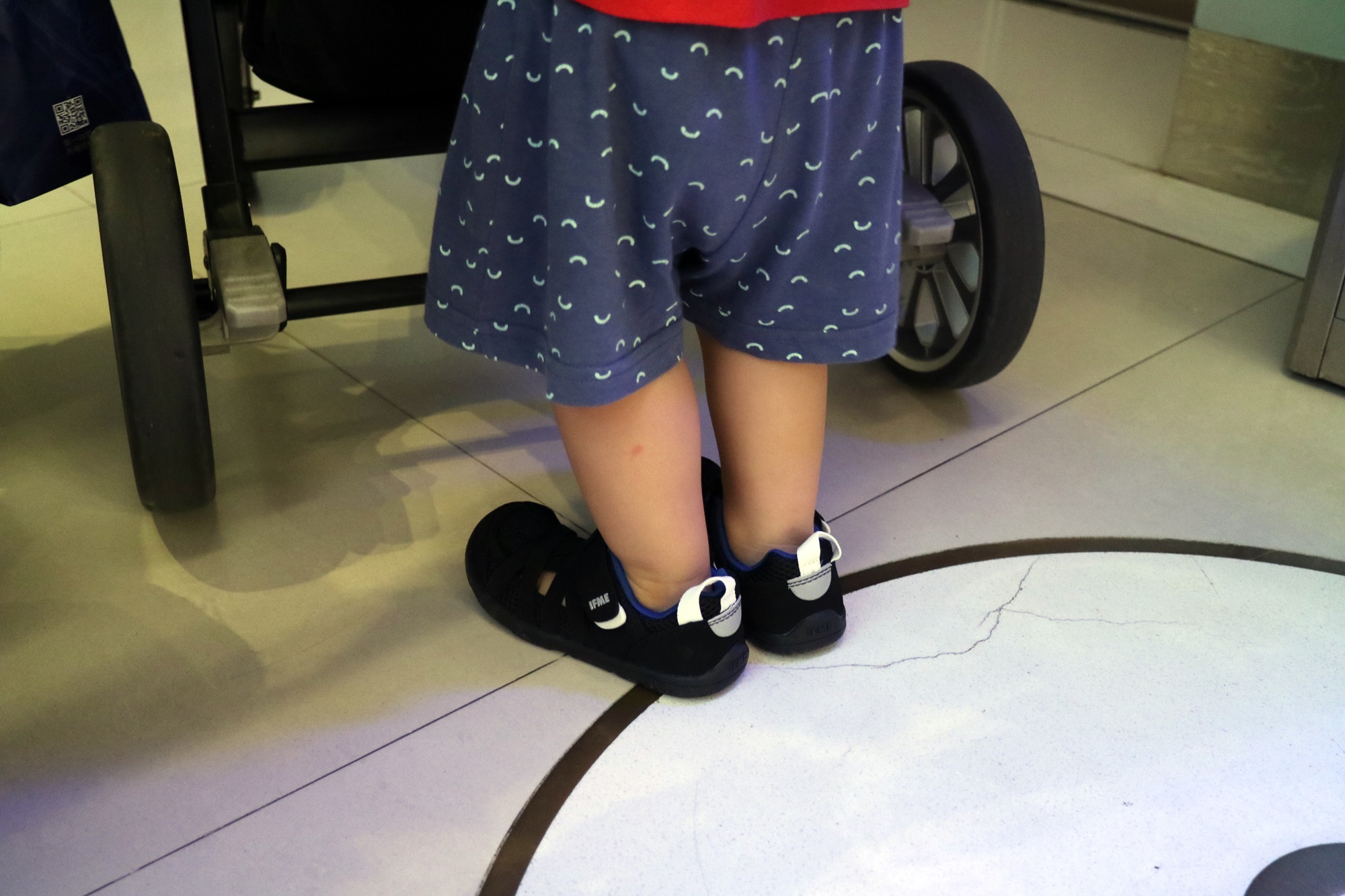 IMG_3929.JPG IMG_3929.JPG