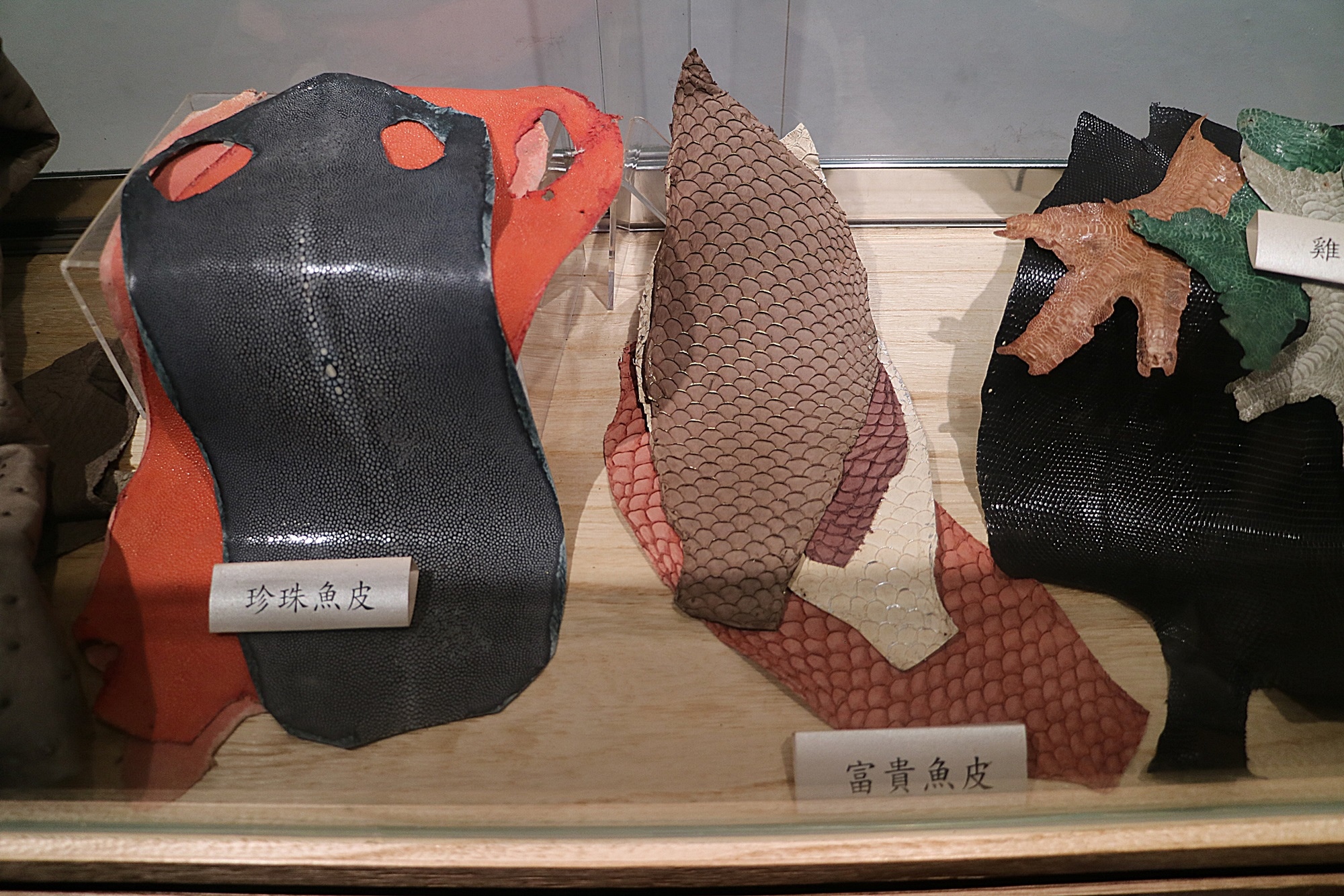 IMG_7892.JPG IMG_7892.JPG