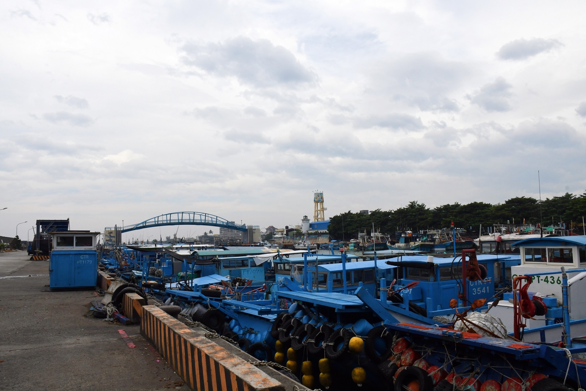 DSC_1446.JPG