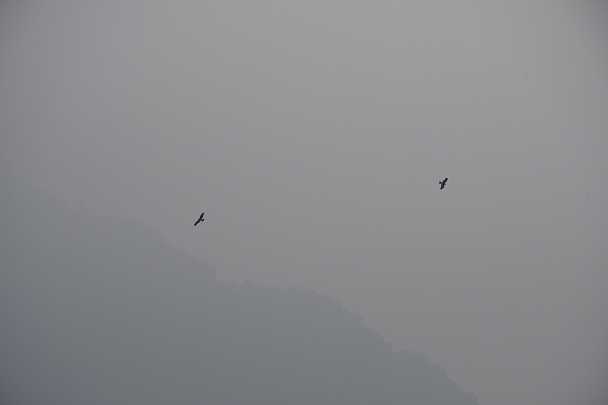 DSC_2156.JPG