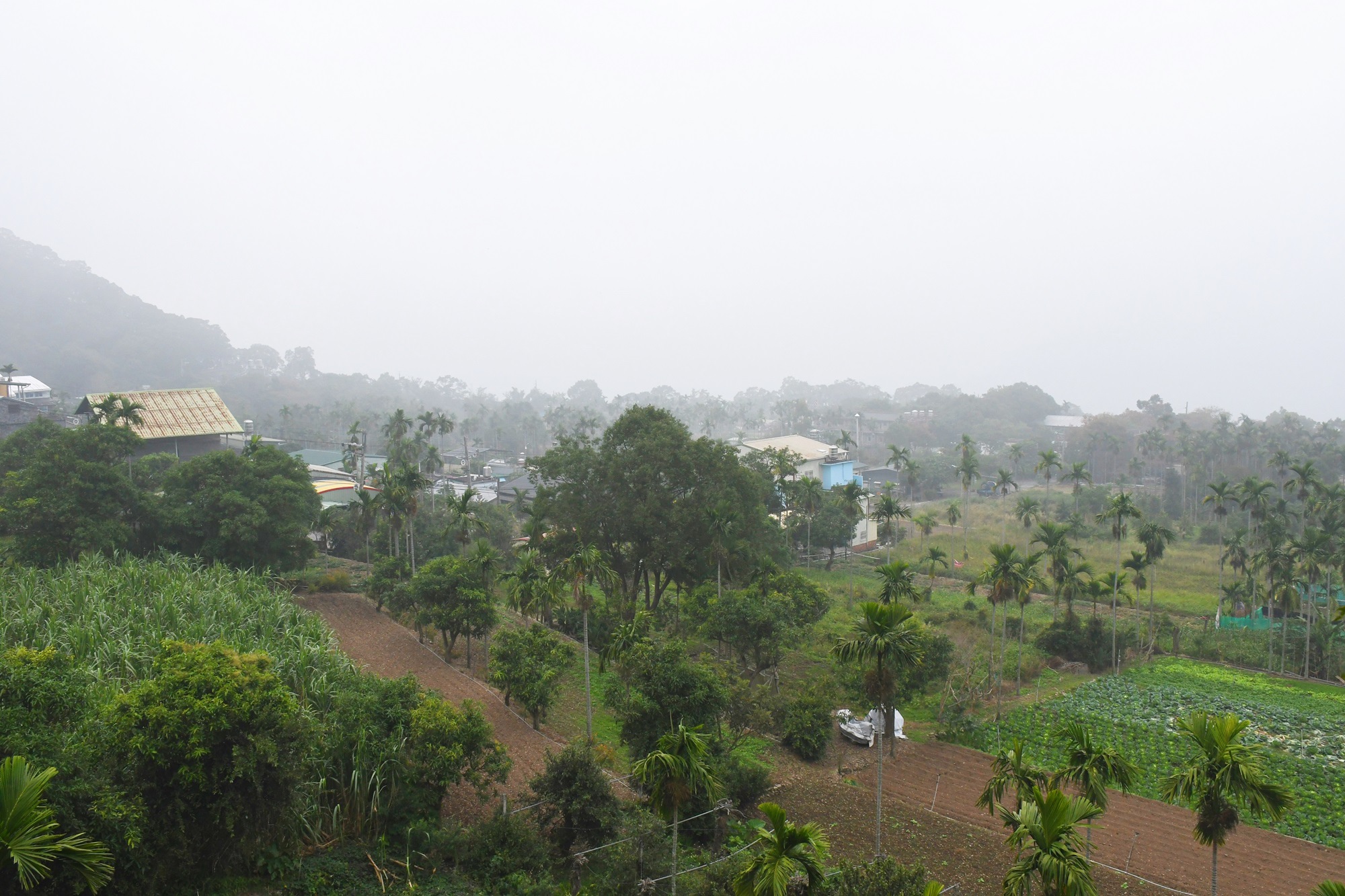 DSC_2451.JPG