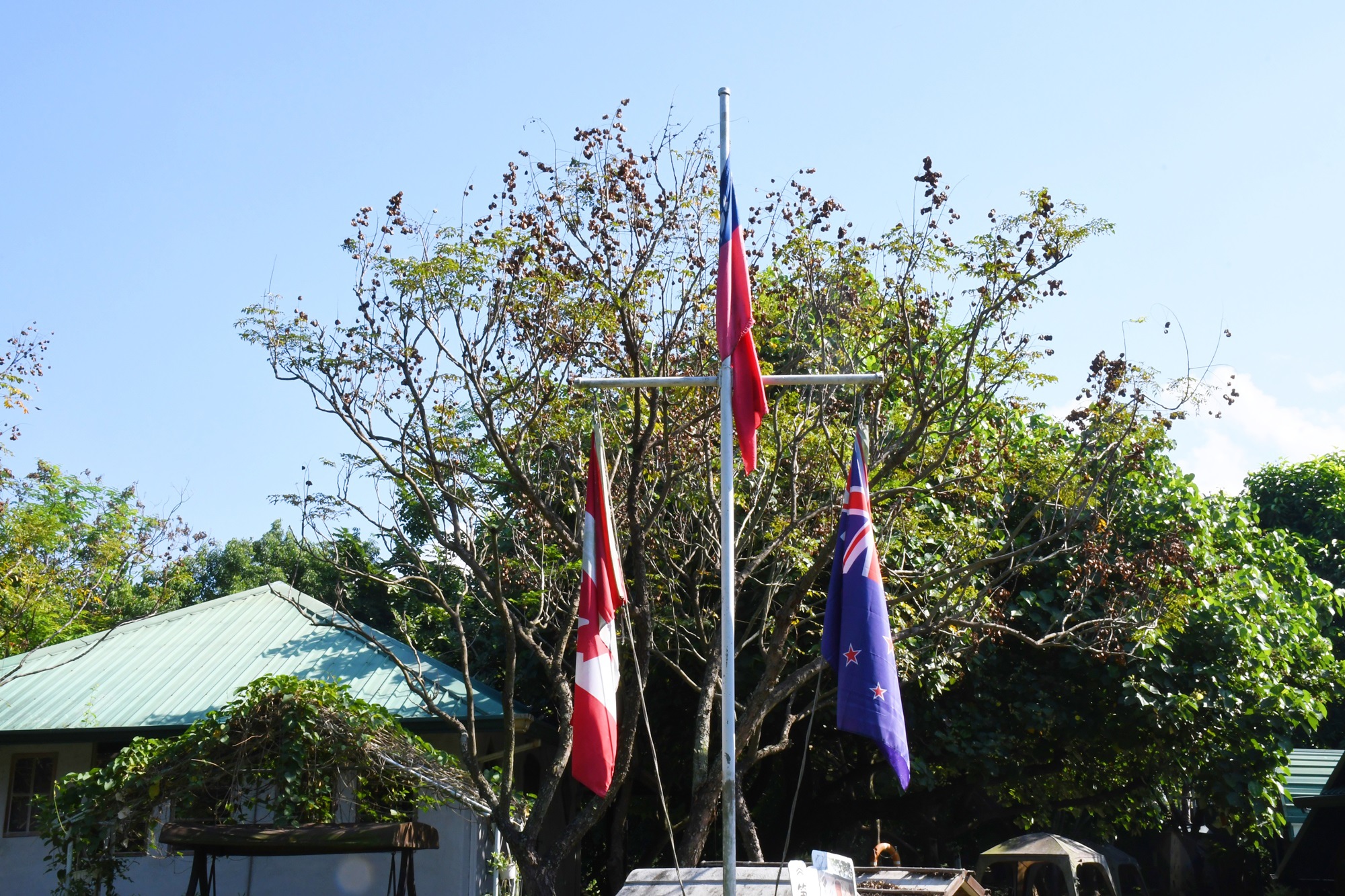 DSC_3075.JPG