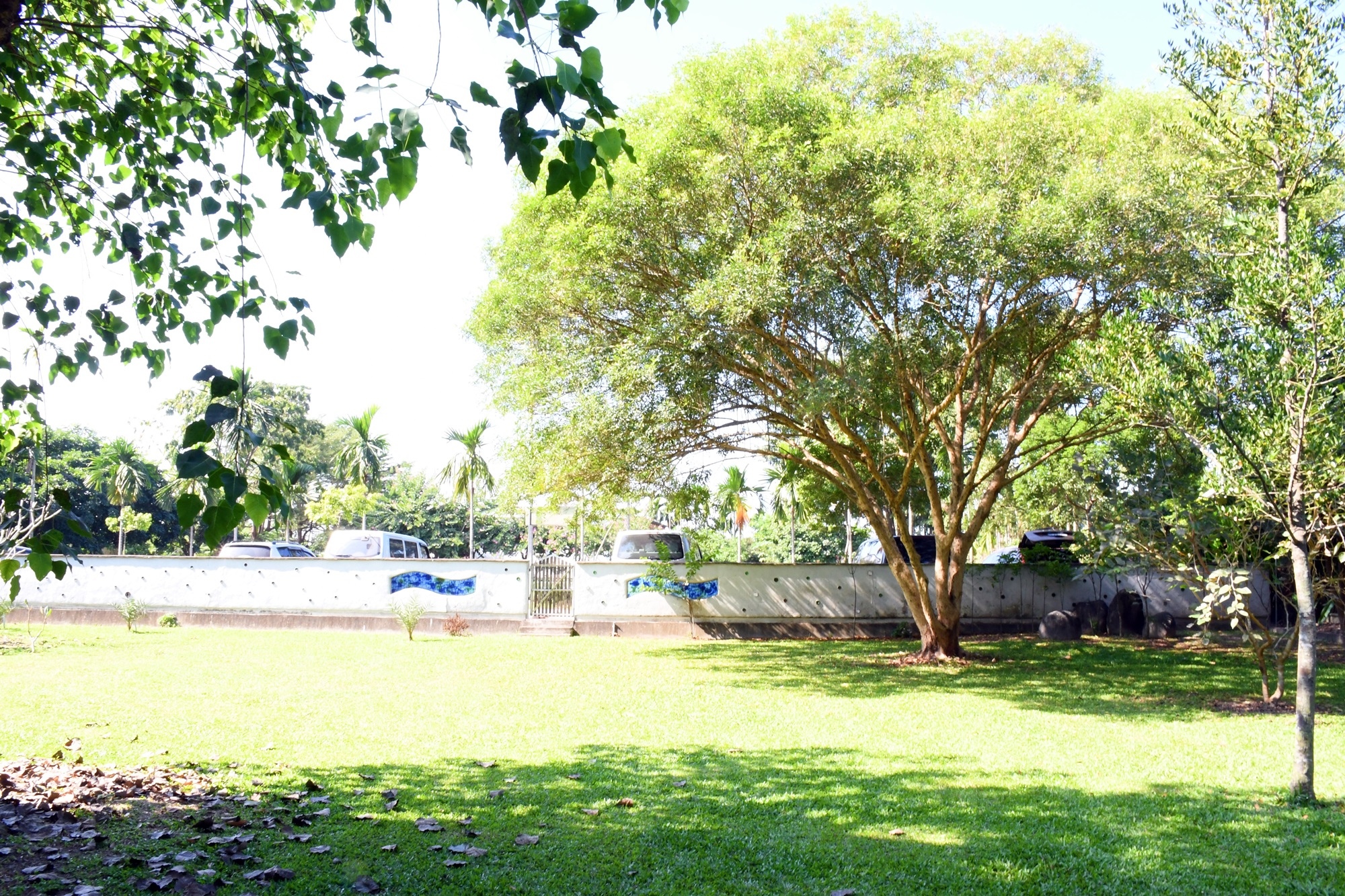 DSC_3115.JPG
