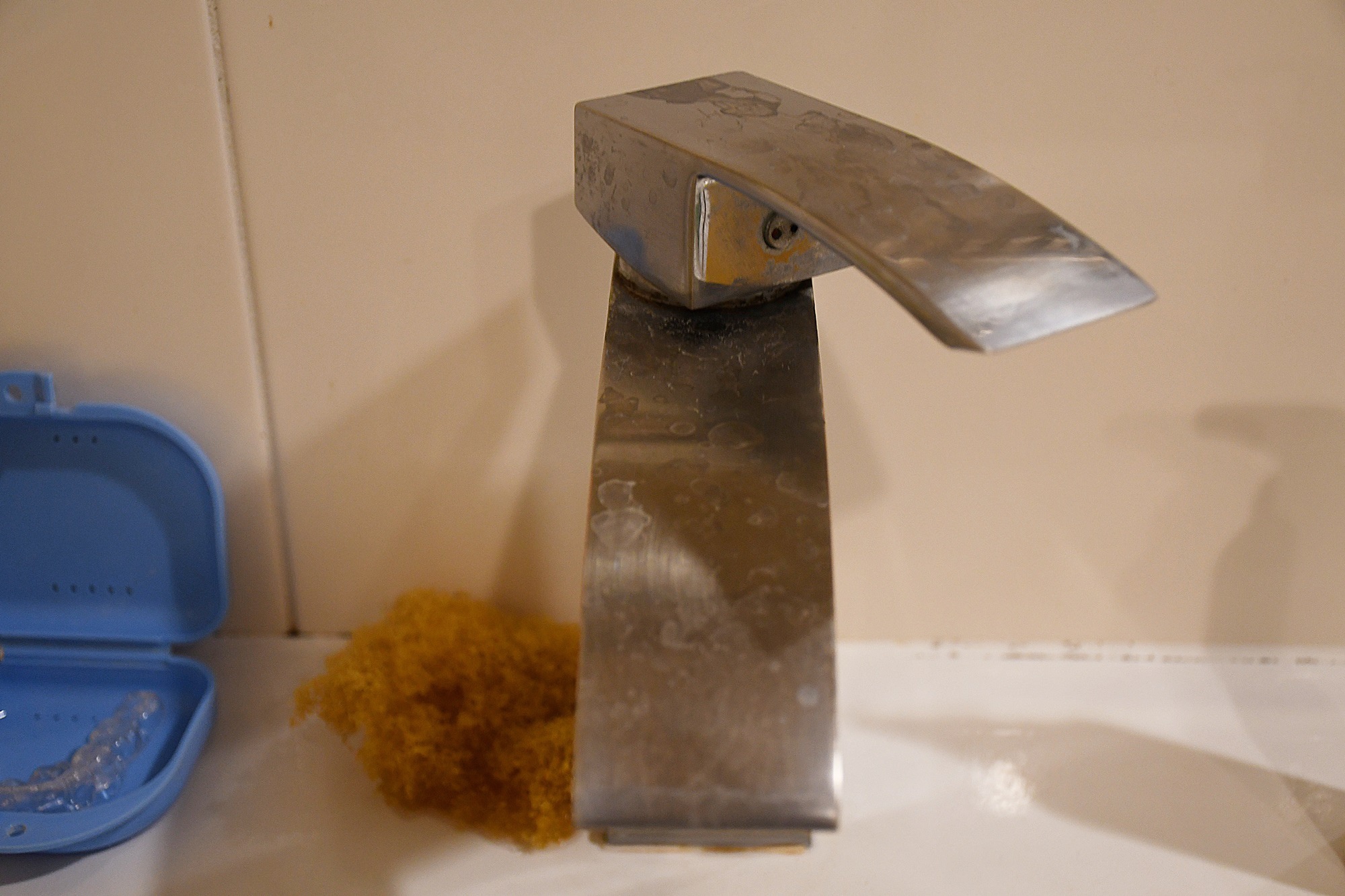DSC_3917.JPG