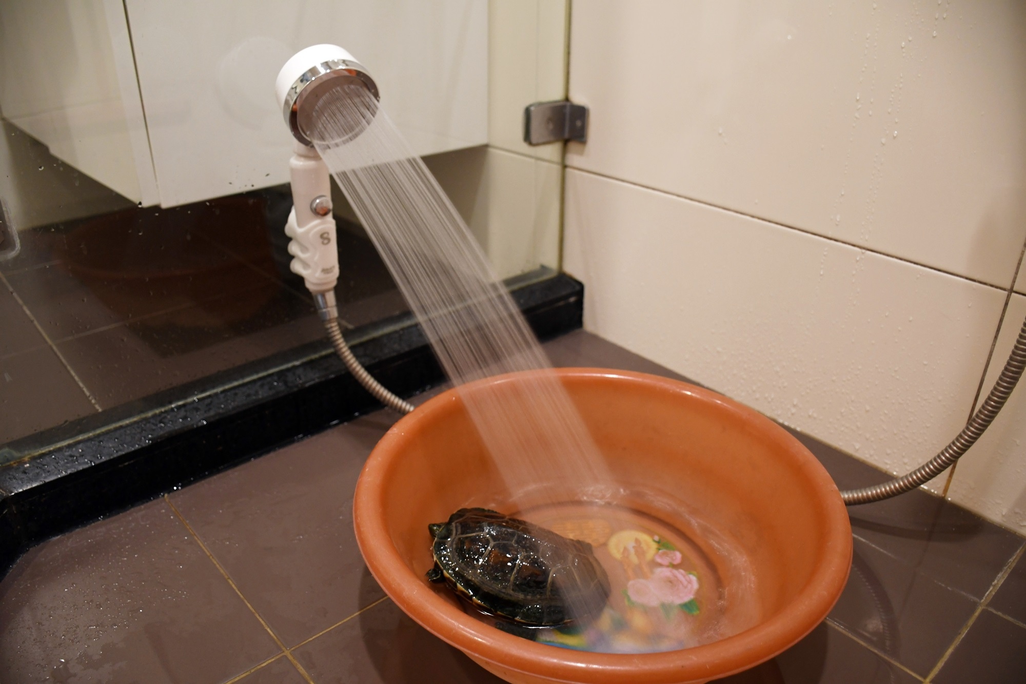 DSC_7086.JPG