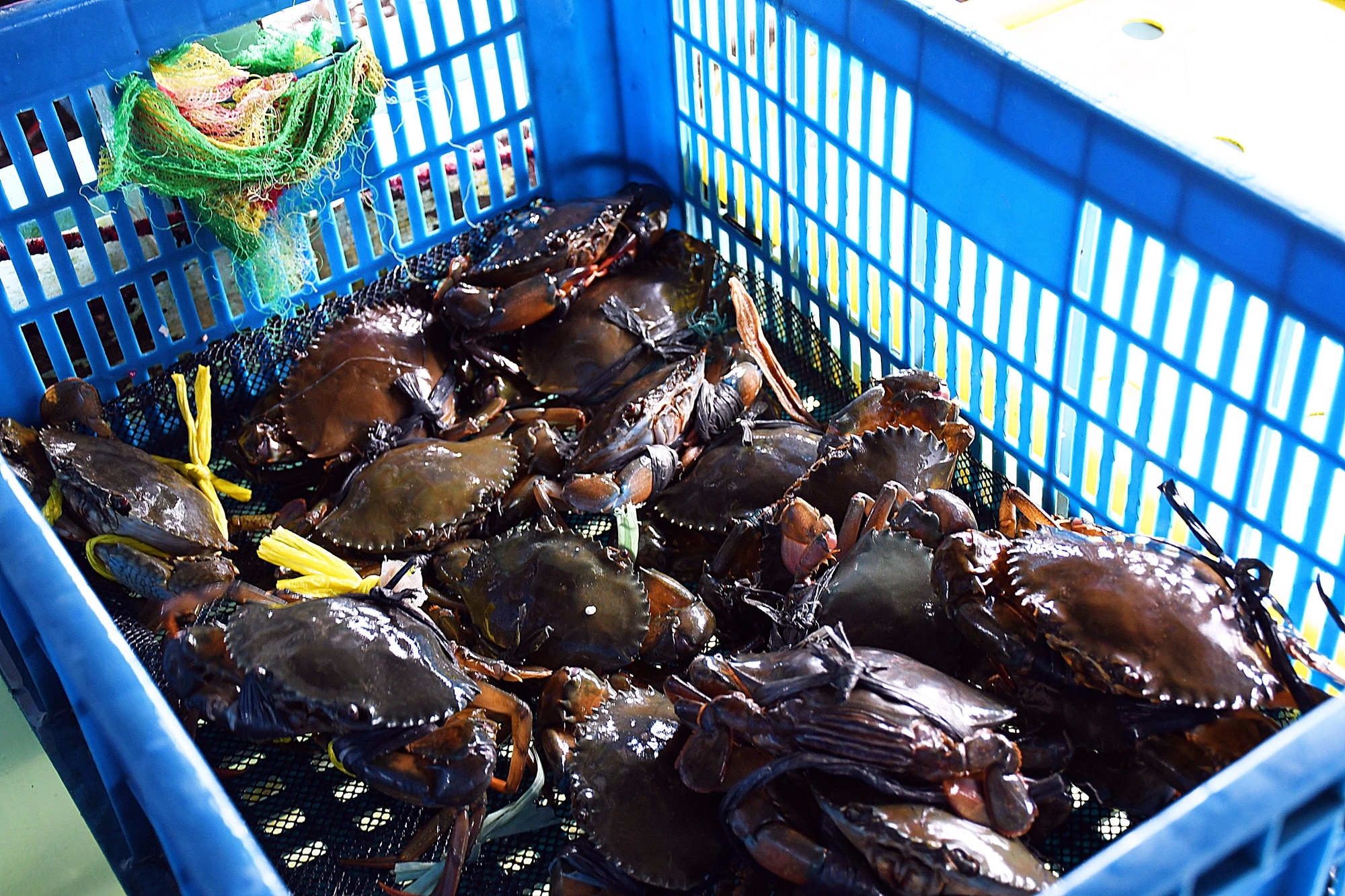 DSC_2521.JPG DSC_2521.JPG