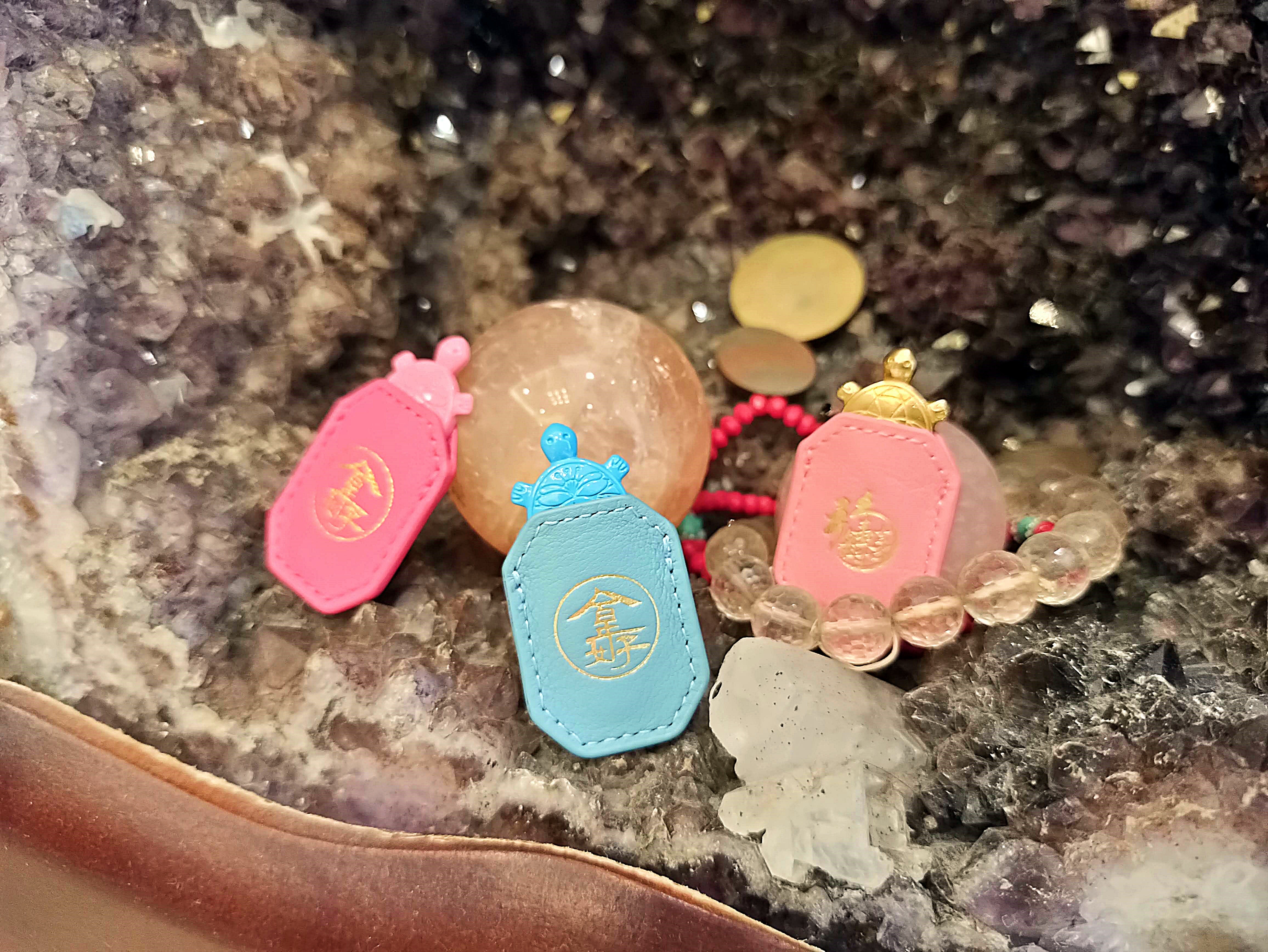 turtle (18).jpg turtle (18).jpg