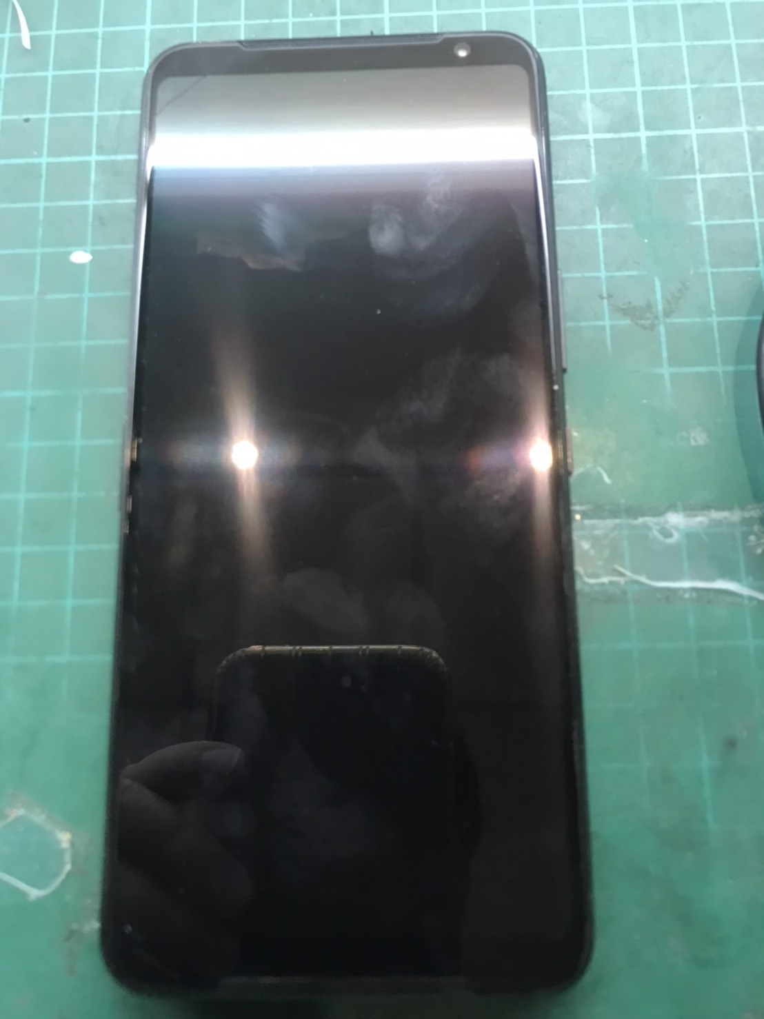 S__66461750.jpg