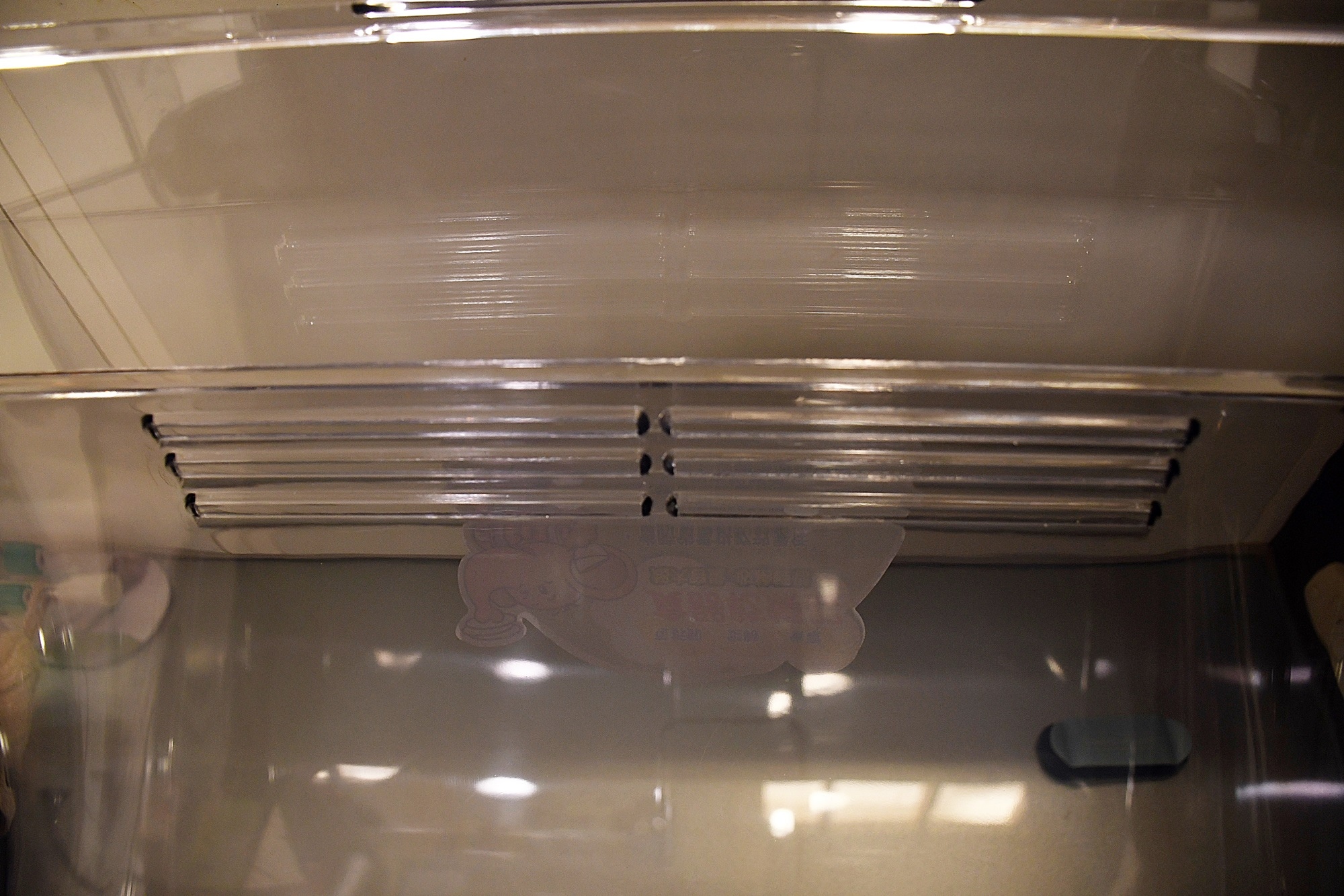 DSC_5998.JPG