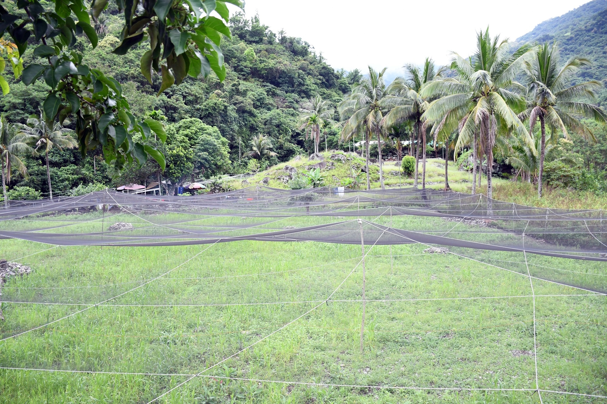 DSC_2988.JPG