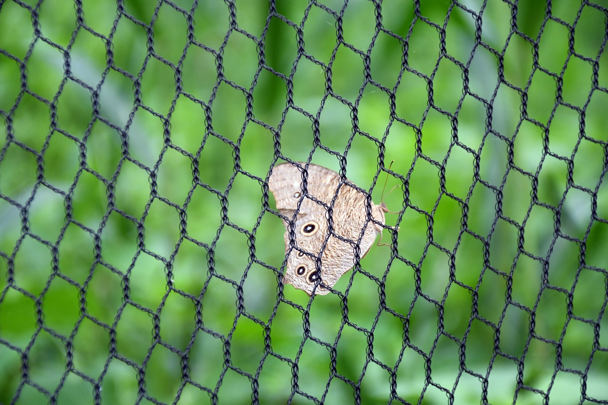 DSC_2990.JPG