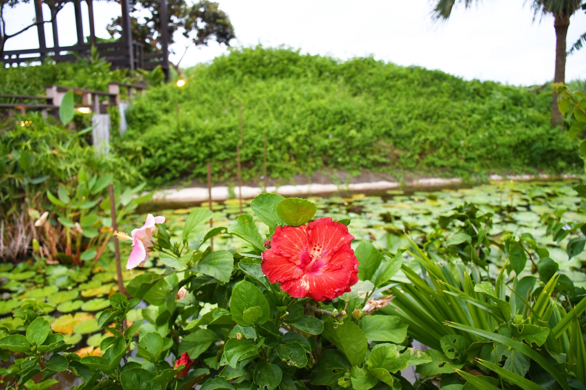 DSC_5464.JPG