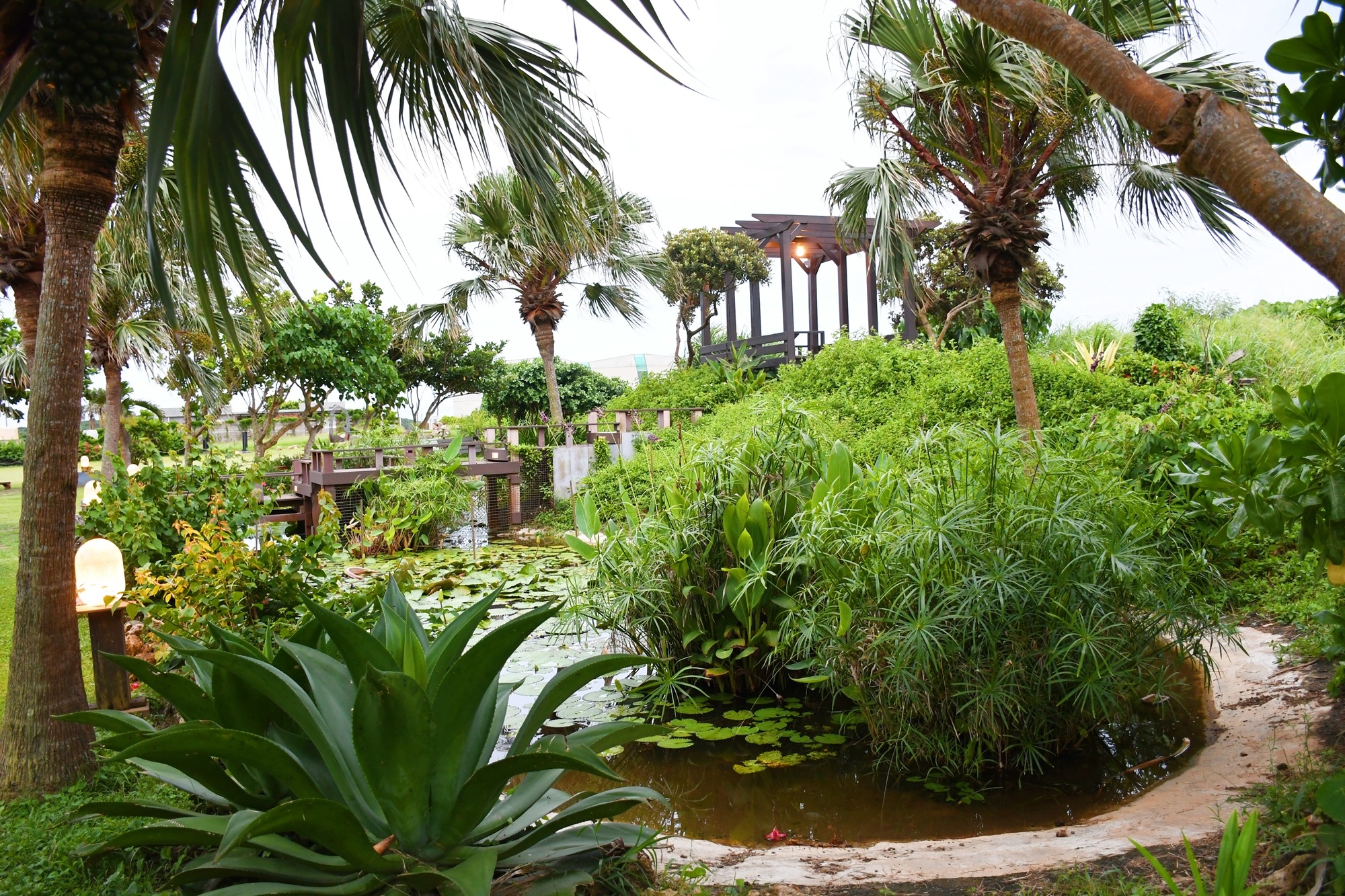 DSC_5462.JPG