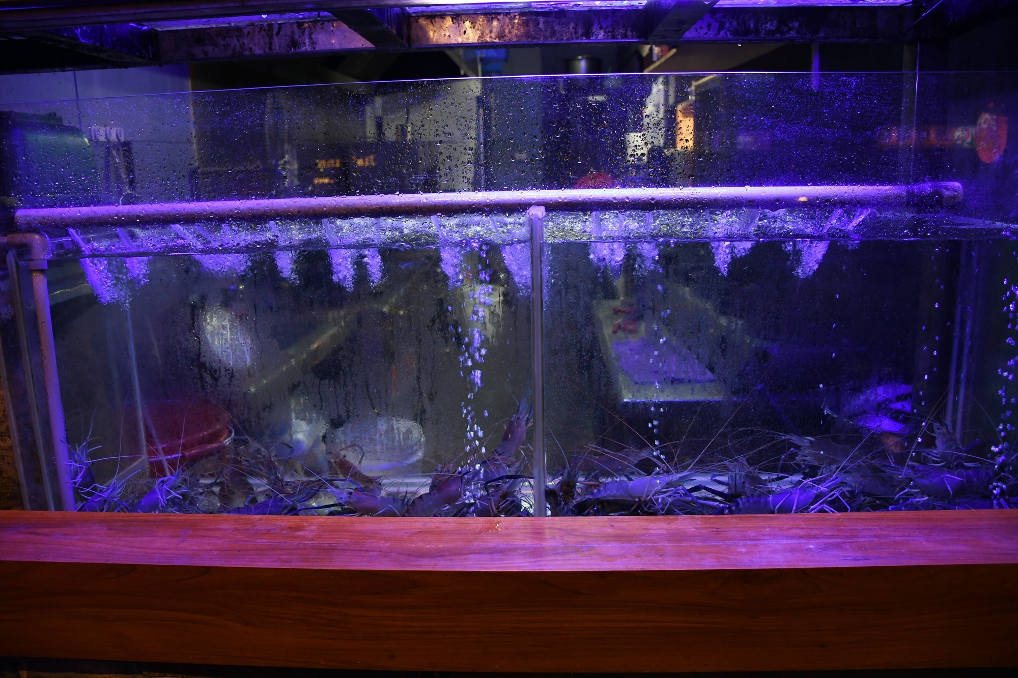 DSC_7435.JPG