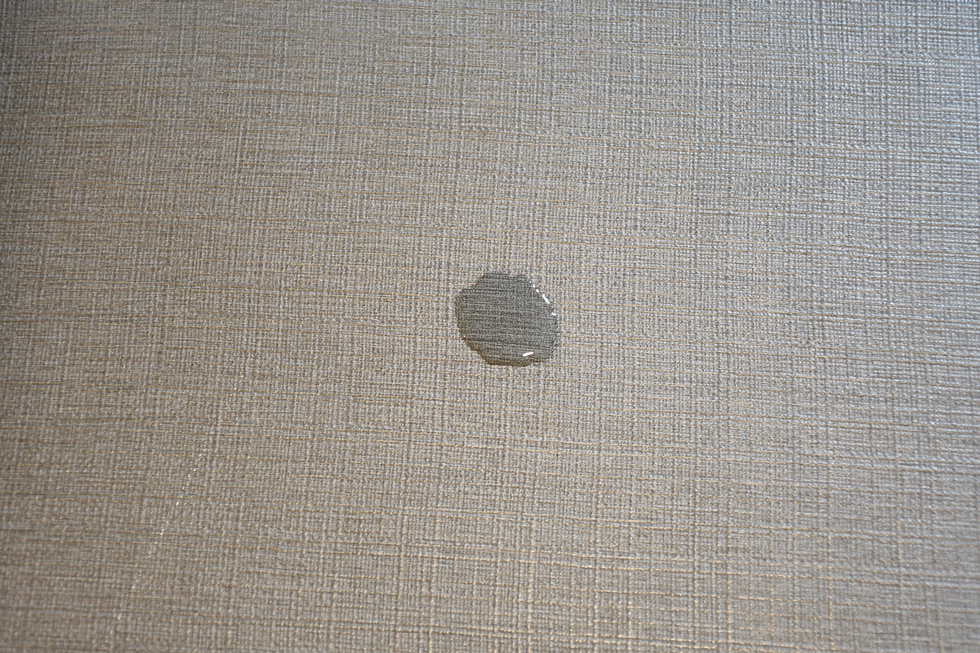 DSC_0643.JPG