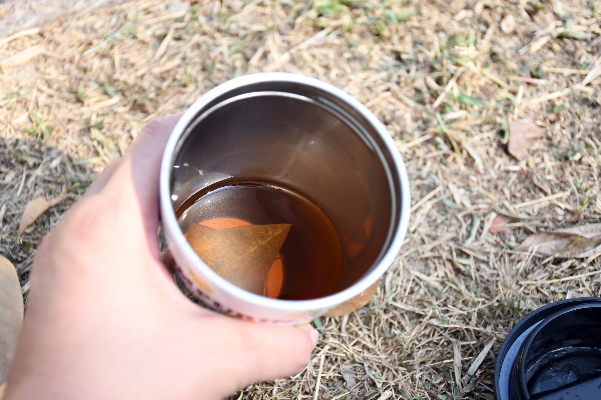 DSC_6768.JPG