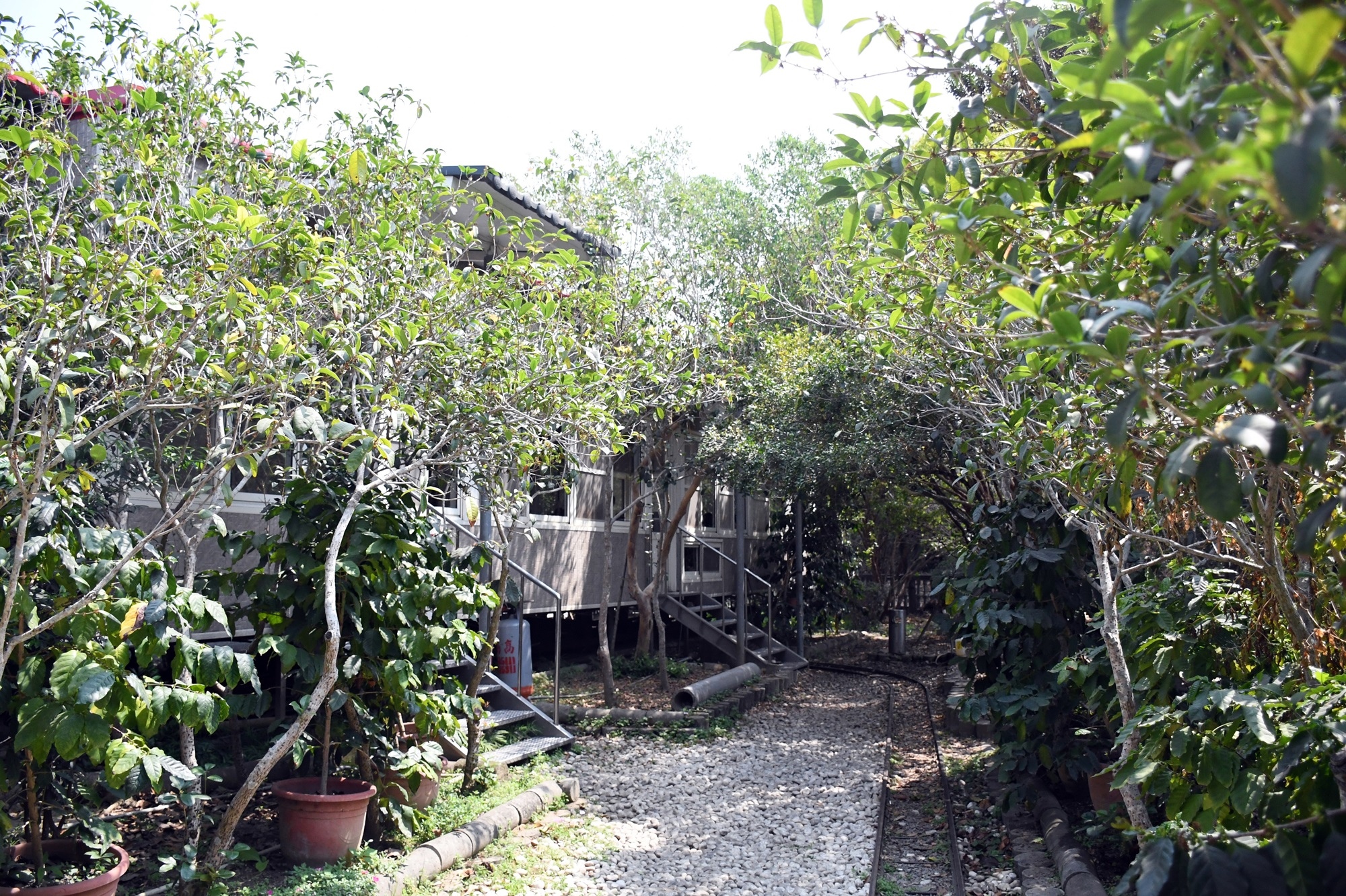 DSC_2041.JPG