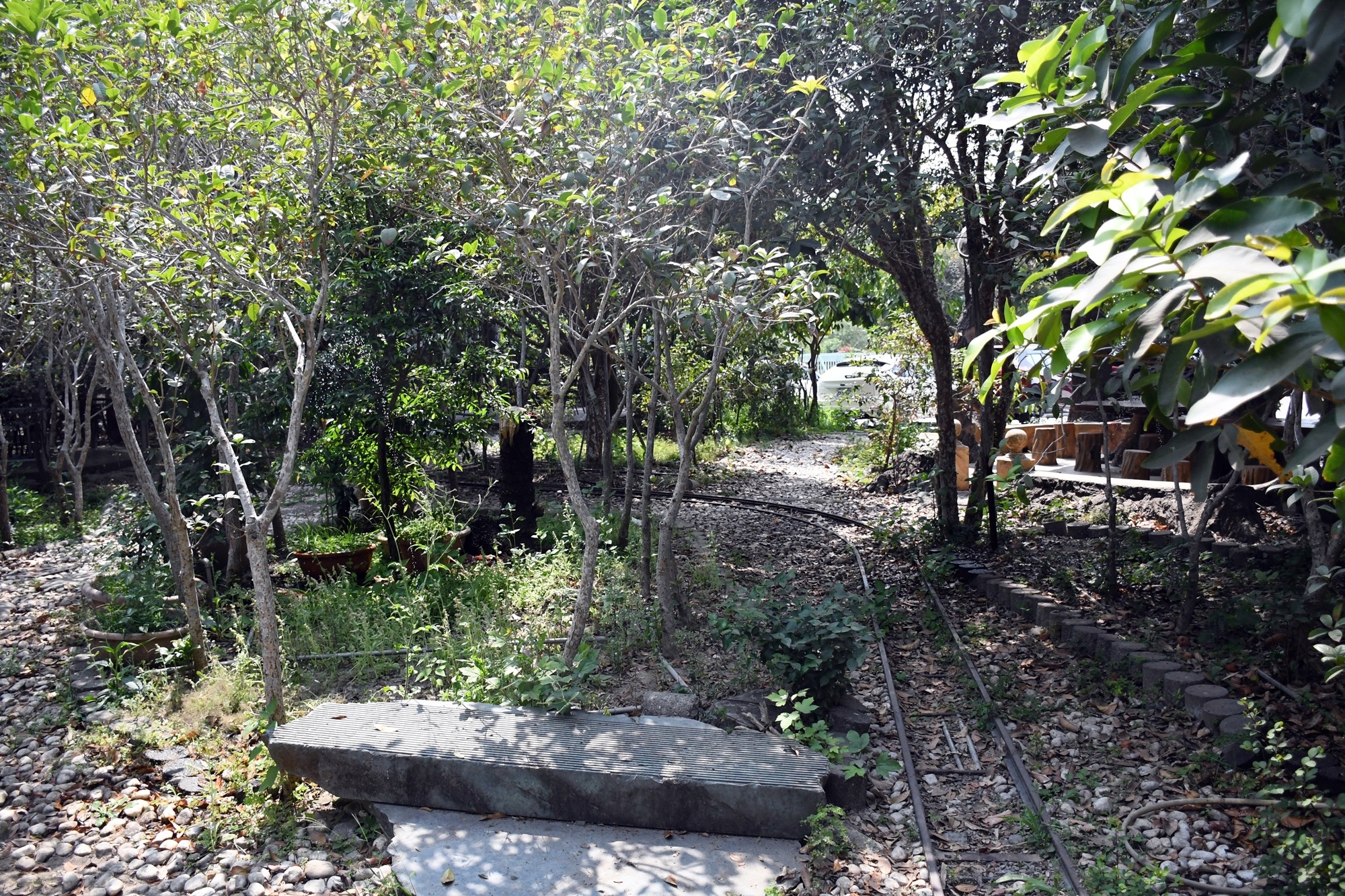 DSC_2043.JPG