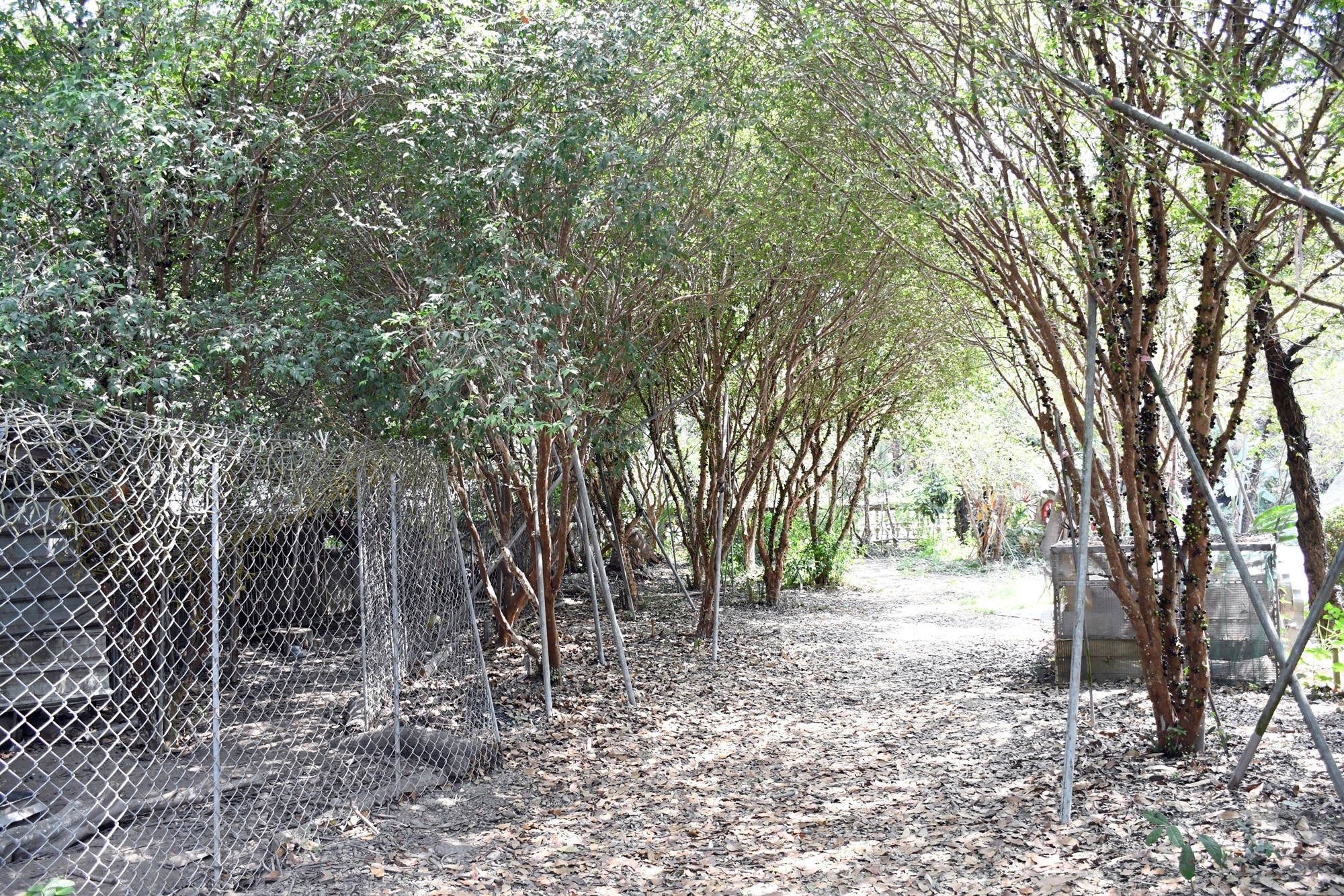 DSC_2058.JPG