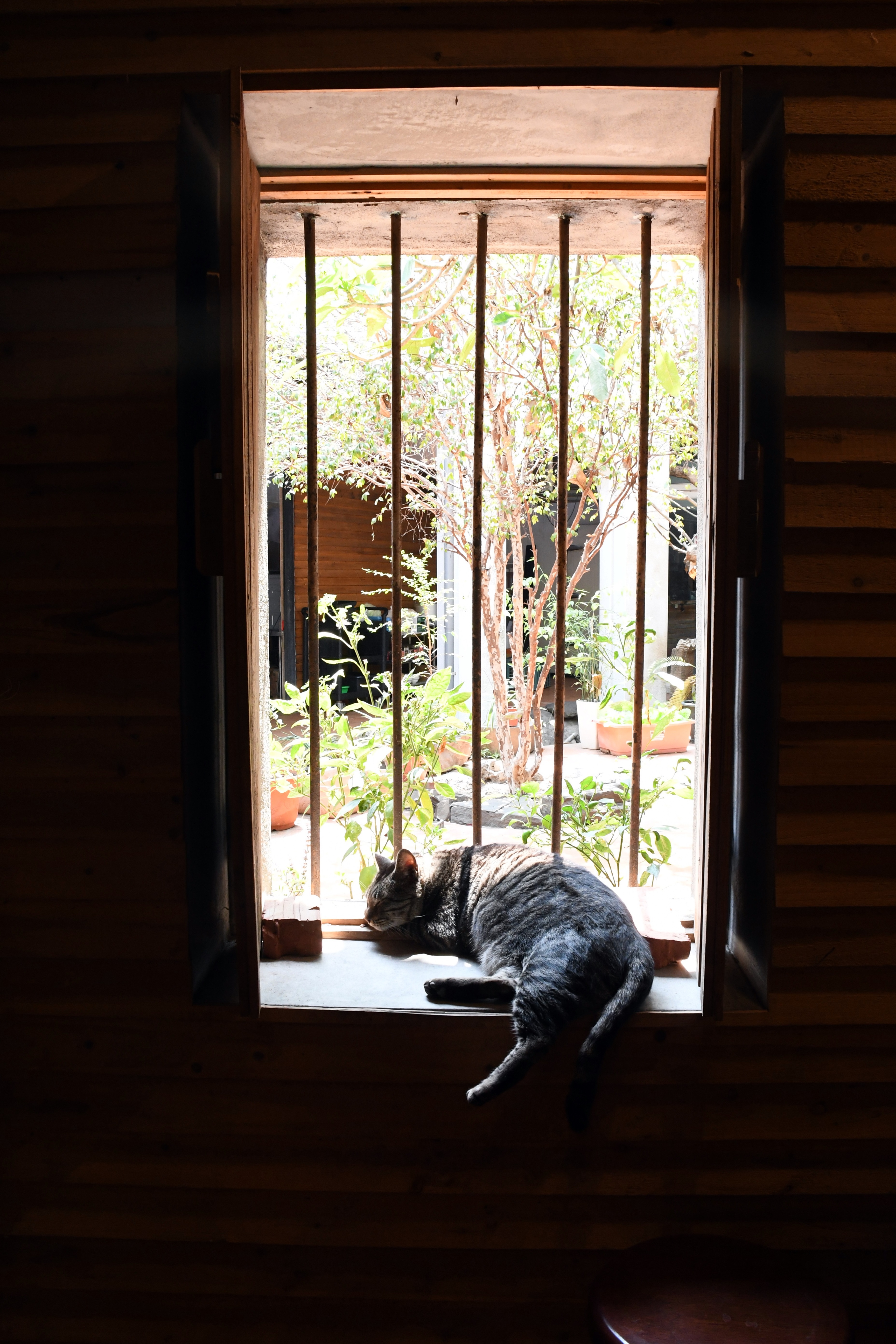 DSC_6035.JPG DSC_6035.JPG