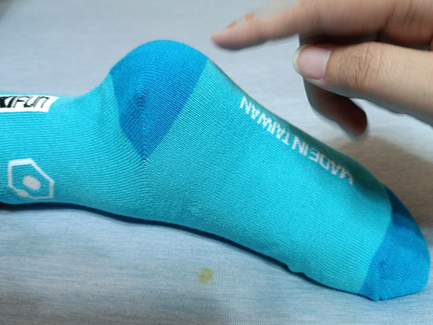 1199100.jpg