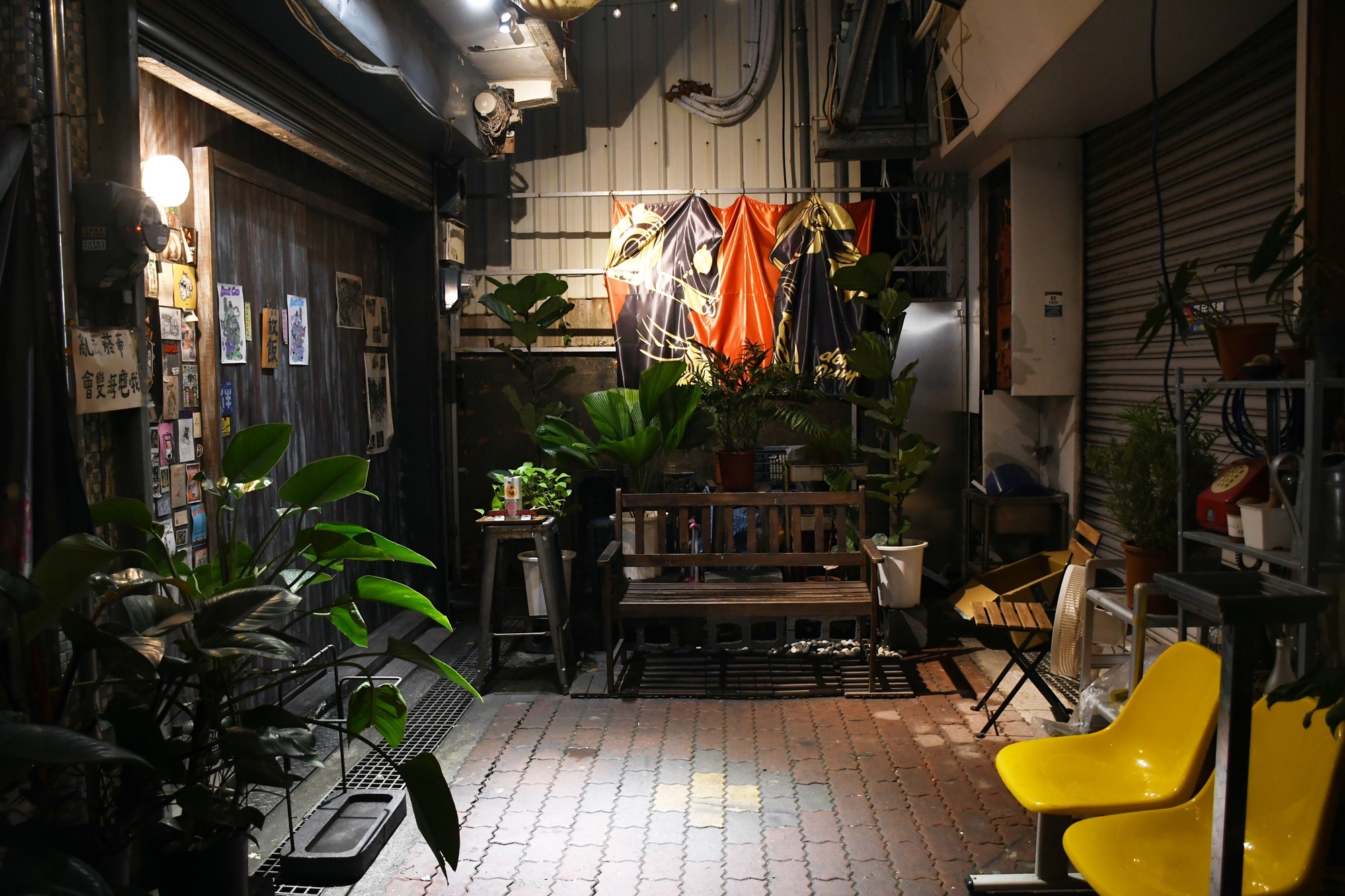 DSC_7126.JPG